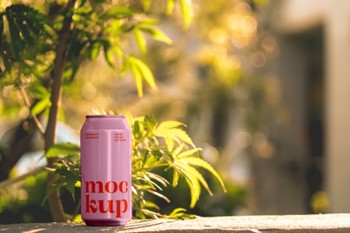 Aluminum Can Mockup in Natural Sunlight