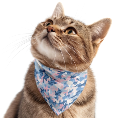 Brown Cat Presents Bandana Mockup