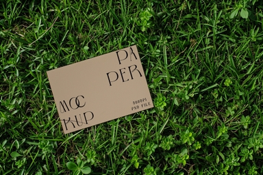Business Card Mockup Laying on Grass