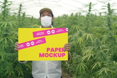 Asian Man Showing Horizontal Paper Mockup in Cannibies Farm
