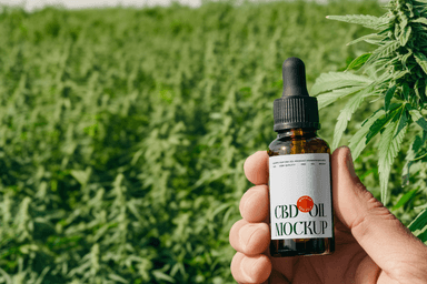 Hand Holding CBD Oil Dropper Bottle Mockup in Farm