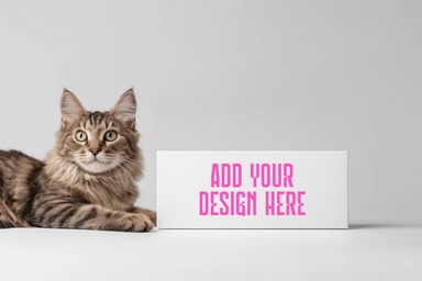 Cat Products Packaging Box Mockup
