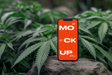 Cannabis Branding and Promotion iPhone Mockup