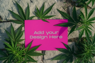 Paper Mockup on Stone Surrounded by Cannabis Leaves