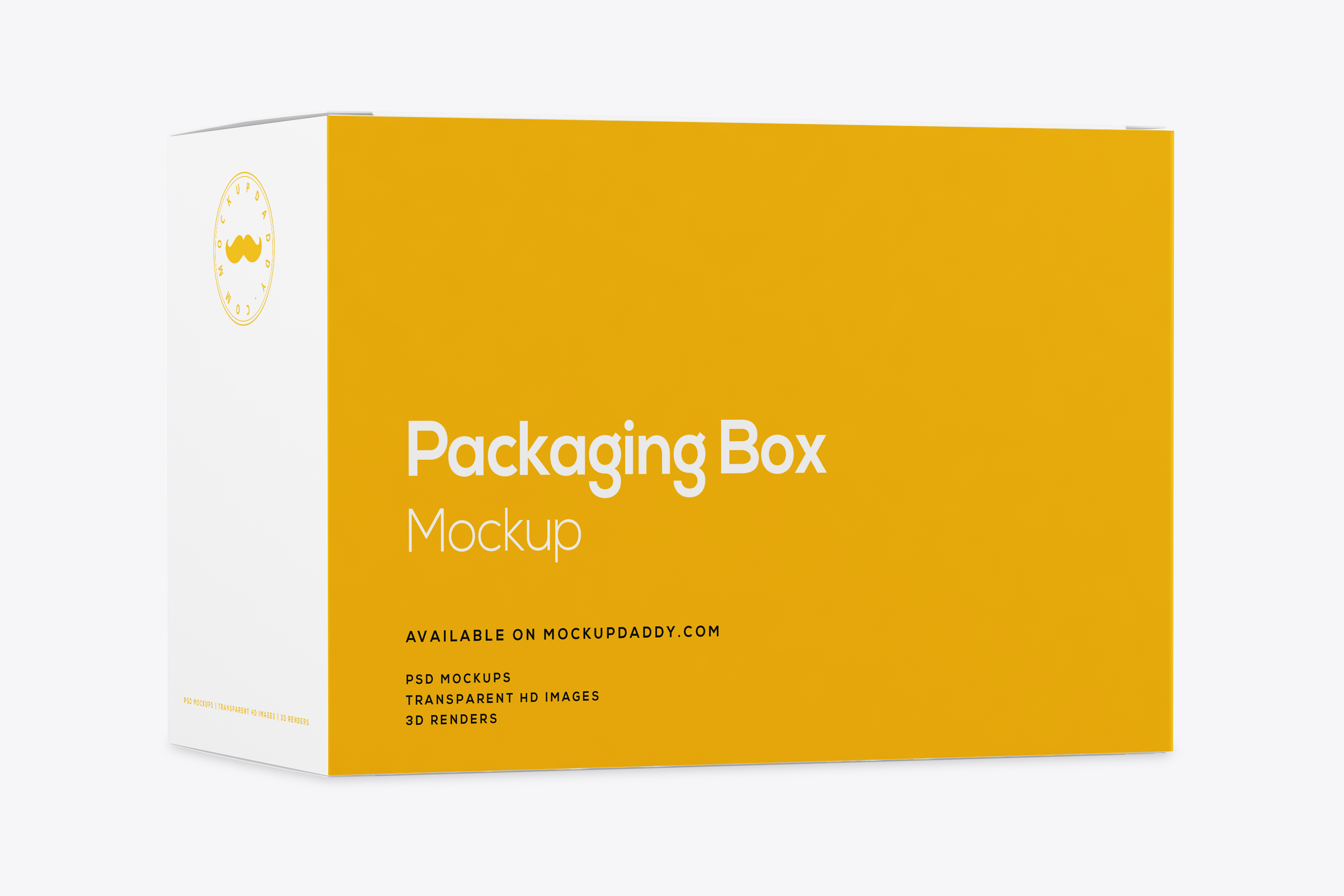 Customizable Rectangle Packaging Box Mockup 