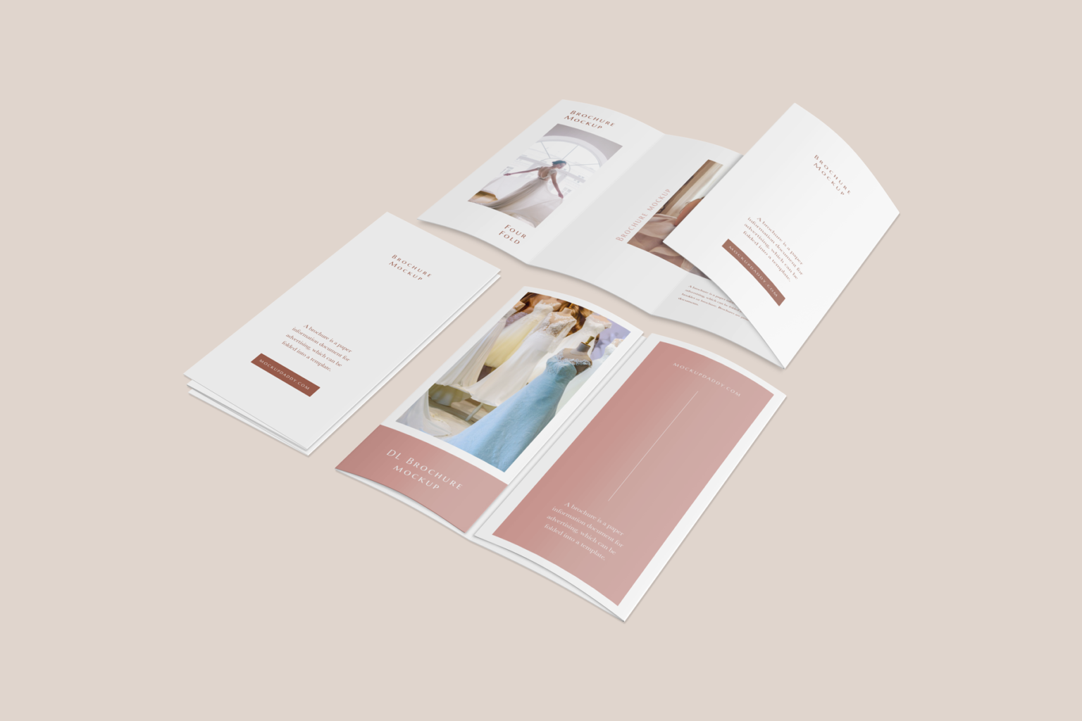 DL 4 Fold Brochure Mockup Mockup Daddy