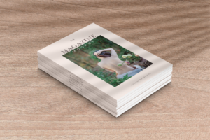 Download Mockup - Free and Premium Psd Mockups