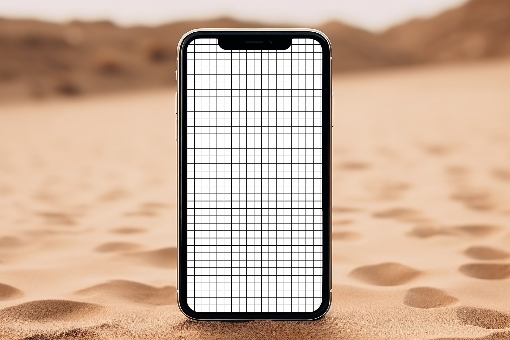 Phone mockup in desert grid