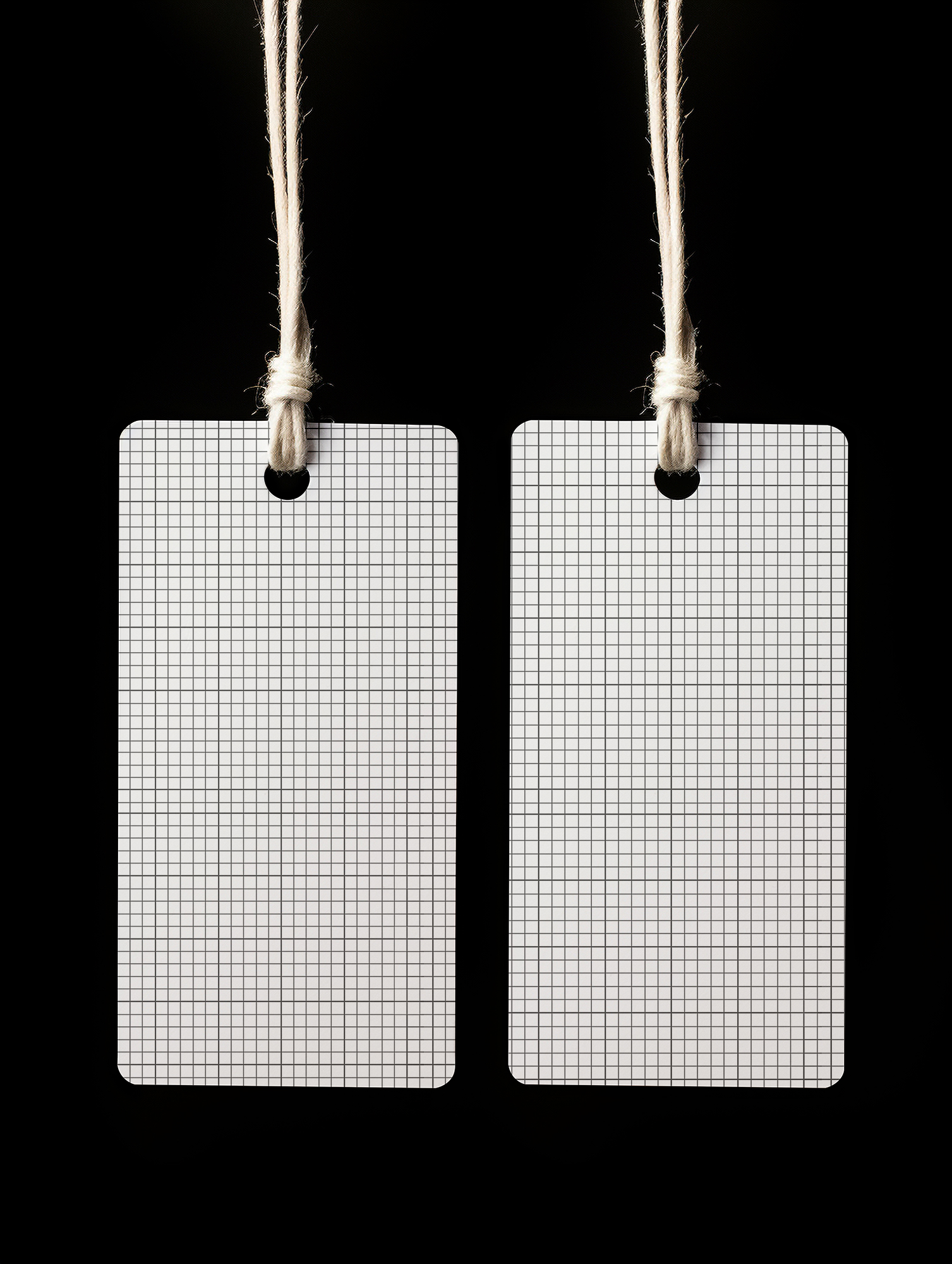 Two Tag Mockup Mockup Daddy