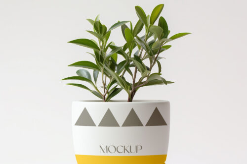Free Download Plant pot mockup PSD