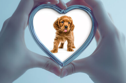 Free Download Ultra hd valentine love heart frame mockup
